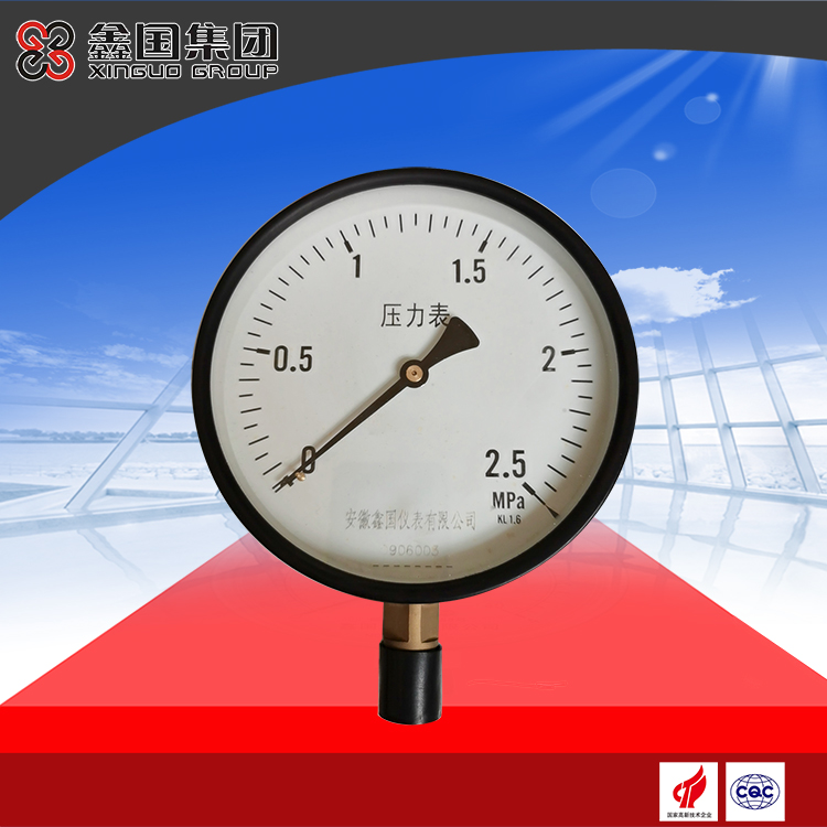 XG-YA-100、150系列氨壓力表